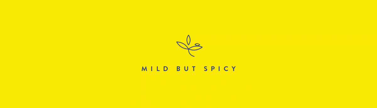 香料（食品）品牌設(shè)計(jì)和包裝設(shè)計(jì)欣賞，食品VI設(shè)計(jì)，食品包裝設(shè)計(jì)，食品品牌視覺(jué)形象設(shè)計(jì)，深圳VI設(shè)計(jì)，深圳品牌視覺(jué)形象識(shí)別設(shè)計(jì)，左右格局