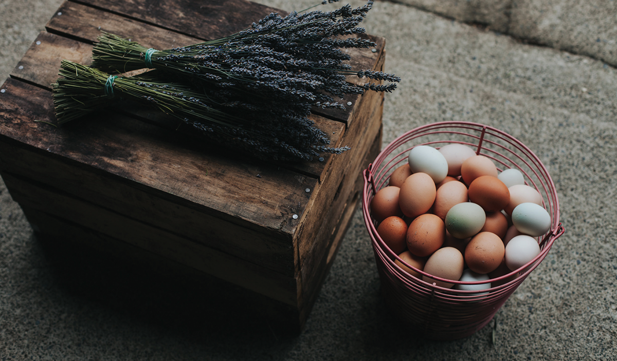 有機肥皂（日用品）品牌vi設計和包裝設計欣賞，vi設計，日化vi設計，日用品vi設計，肥皂品牌包裝設計，深圳vi設計，深圳包裝設計，左右格局