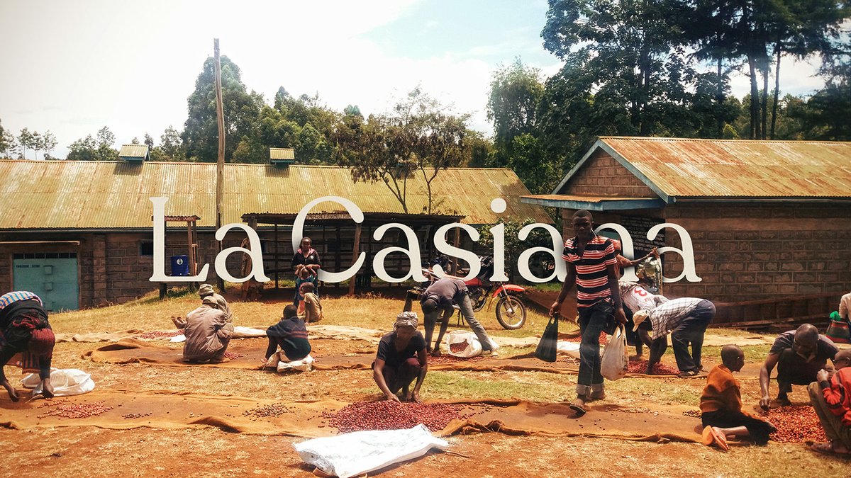 La Casiana咖啡店品牌vi設(shè)計和包裝設(shè)計，vi設(shè)計，品牌vi設(shè)計，咖啡店vi設(shè)計，咖啡店包裝設(shè)計，咖啡店品牌vi，品牌vi設(shè)計和包裝設(shè)計，深圳vi設(shè)計，左右格局