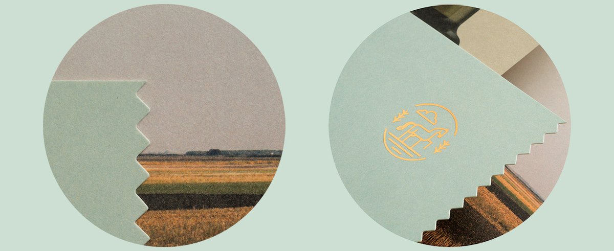 （餐飲）OLGA南瓜籽油品牌包裝vi設(shè)計(jì)欣賞，vi設(shè)計(jì)，包裝vi設(shè)計(jì)，餐飲品牌vi設(shè)計(jì)，餐飲vi設(shè)計(jì)，品牌包裝vi設(shè)計(jì)，品牌vi設(shè)計(jì)，vi品牌策劃，深圳vi設(shè)計(jì)，左右格局