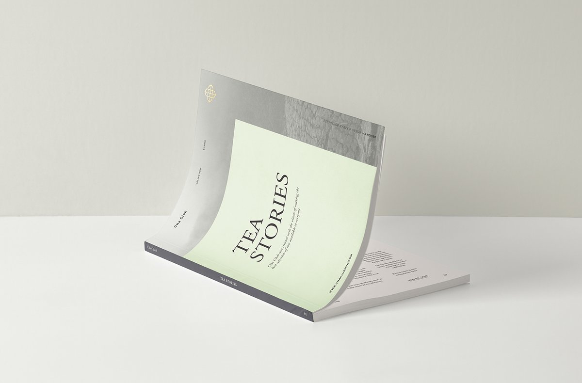 （餐飲）茶俱樂部品牌包裝vi設(shè)計(jì)和品牌定位案例，vi設(shè)計(jì)，餐飲品牌vi設(shè)計(jì)，餐飲vi設(shè)計(jì)，品牌包裝設(shè)計(jì)，品牌vi設(shè)計(jì)，品牌定位，vi品牌策劃，深圳vi設(shè)計(jì)，左右格局