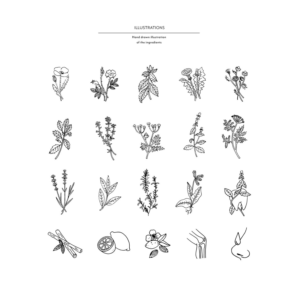 （醫(yī)療）Aeskulap 藥房企業(yè)vi設(shè)計(jì)&mdash;&mdash;運(yùn)用包裝設(shè)計(jì)重塑品牌，vi設(shè)計(jì)，醫(yī)療企業(yè)vi設(shè)計(jì)，企業(yè)品牌vi設(shè)計(jì)，品牌包裝，企業(yè)vi設(shè)計(jì)，品牌策劃，深圳vi設(shè)計(jì)，左右格局