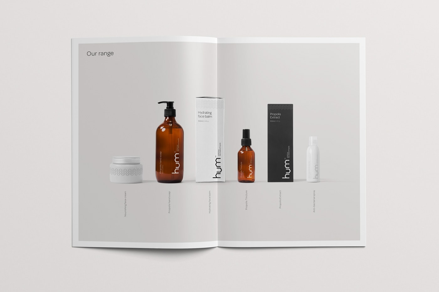 食品VI設(shè)計，保健品包裝設(shè)計，深圳VI設(shè)計，左右格局