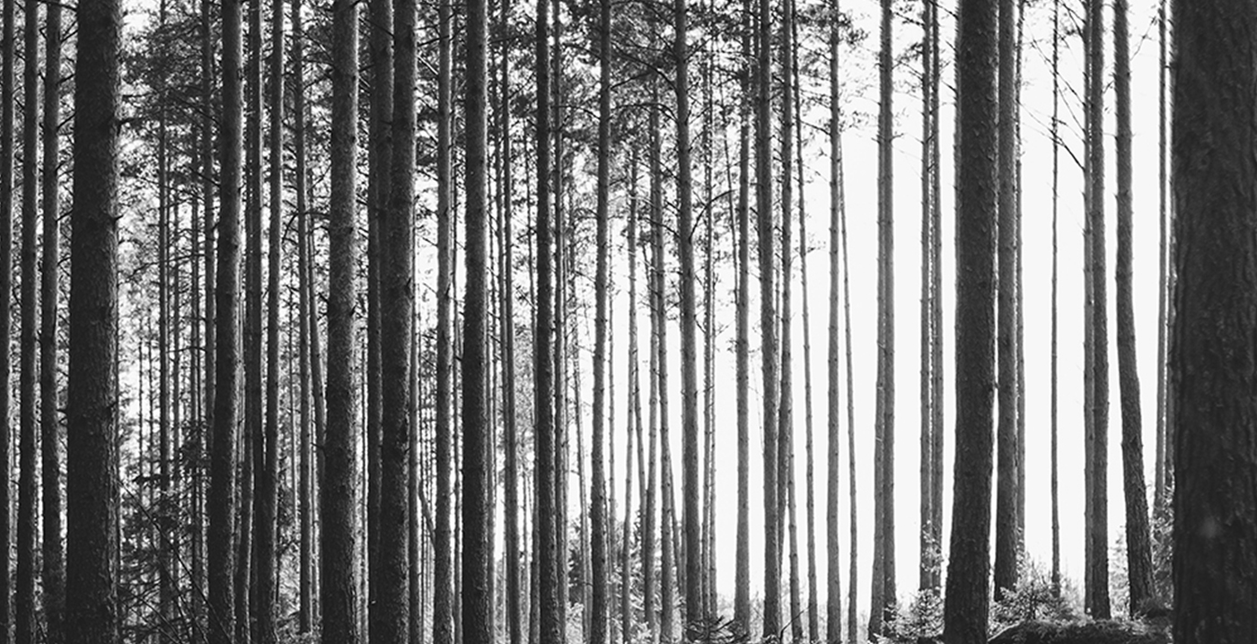 洗護品牌如何構(gòu)建價值認(rèn)同？&mdash;&mdash;度樸植物氨基酸洗發(fā)水案例解析