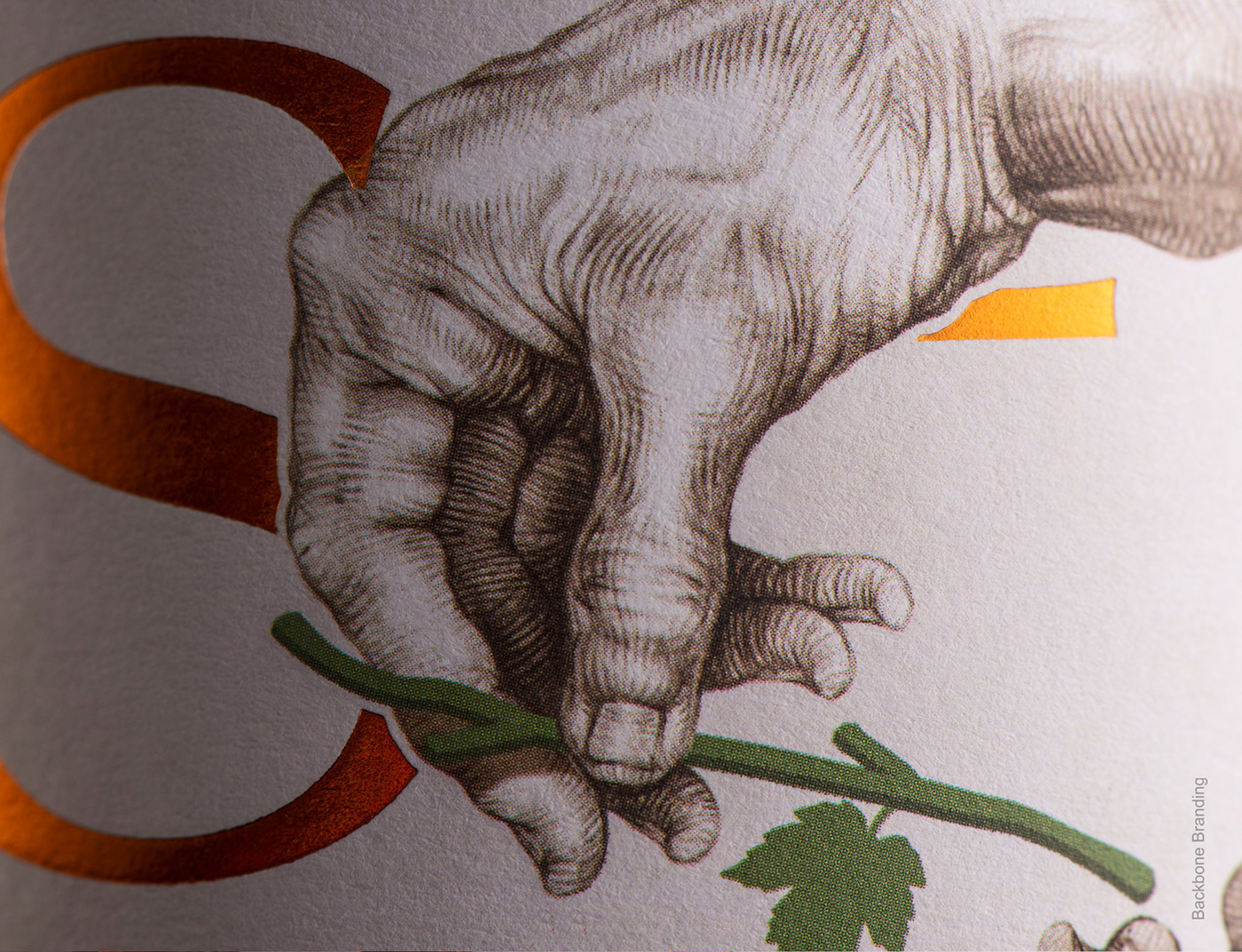 深圳包裝設計，包裝設計公司，葡萄酒產品包裝