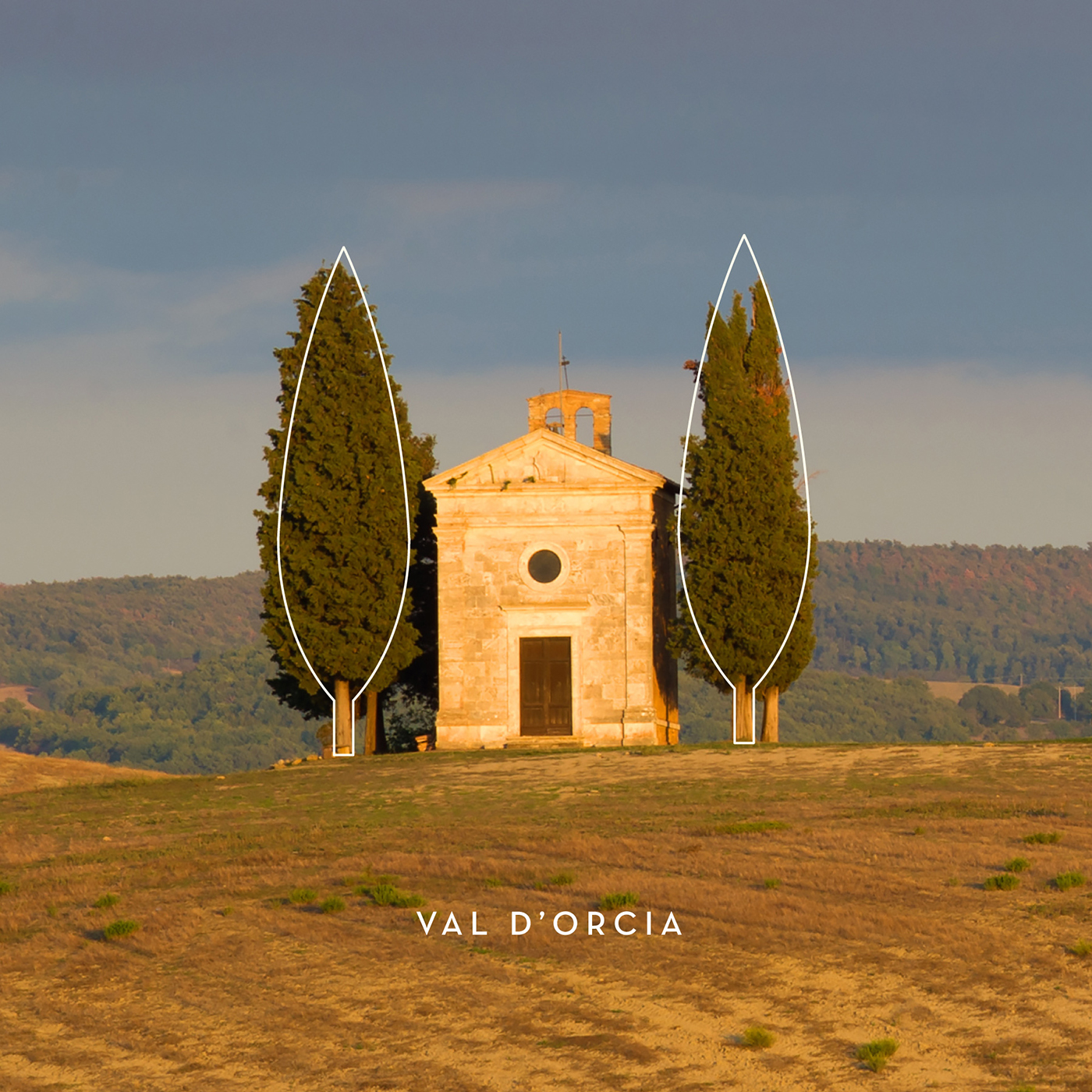 科斯塔雷爾橄欖油的創(chuàng)新品牌包裝設(shè)計靈感來自柏樹