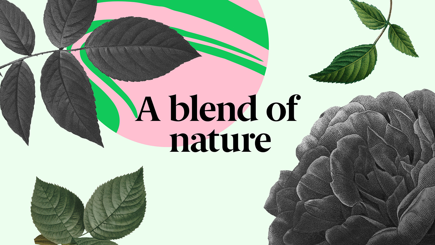 品牌包裝設(shè)計(jì):通過顏色和國圖案的創(chuàng)新設(shè)計(jì)將勇敢和創(chuàng)新帶入了品牌 品牌包裝設(shè)計(jì):通過顏色和國圖案的創(chuàng)新設(shè)計(jì)將勇敢和創(chuàng)新帶入了品牌