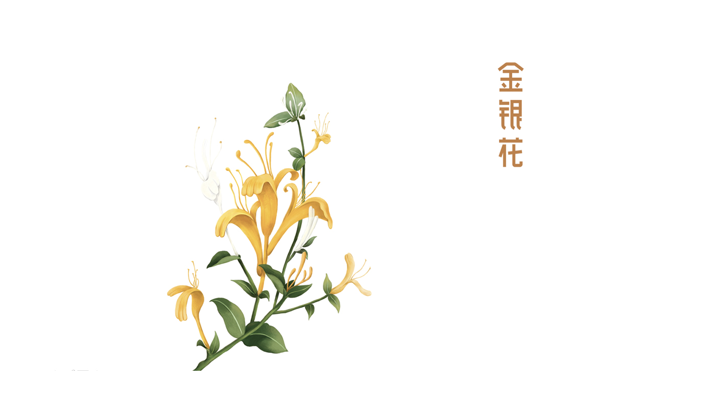 寶瓶堂傳統(tǒng)滋補(bǔ)行業(yè)品牌戰(zhàn)略升級(jí)-左右格局 寶瓶堂傳統(tǒng)滋補(bǔ)行業(yè)品牌戰(zhàn)略升級(jí)-左右格局