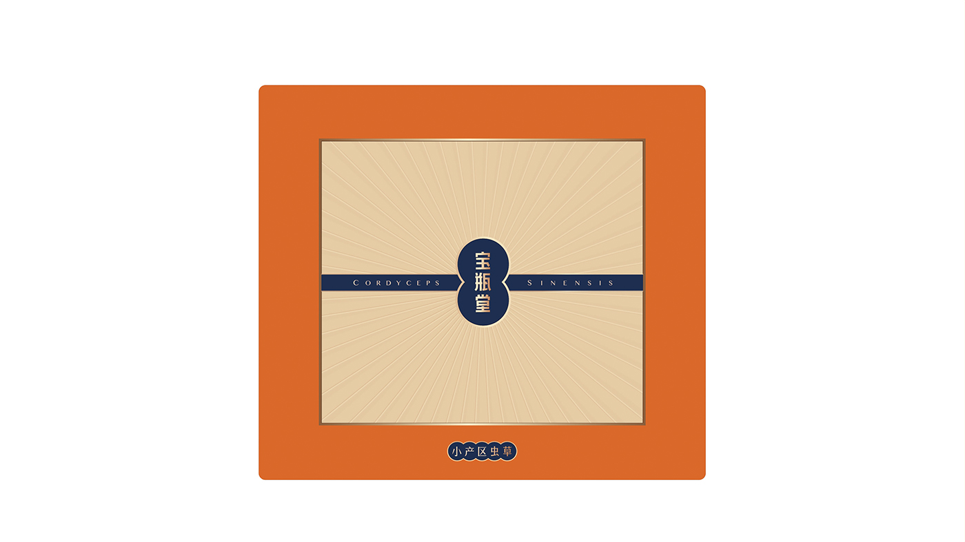 寶瓶堂高端滋補(bǔ)品包裝設(shè)計(jì)開(kāi)發(fā) 寶瓶堂高端滋補(bǔ)品包裝設(shè)計(jì)開(kāi)發(fā)