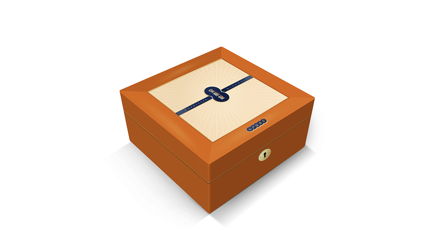 寶瓶堂高端滋補(bǔ)品包裝設(shè)計(jì)開(kāi)發(fā) 寶瓶堂高端滋補(bǔ)品包裝設(shè)計(jì)開(kāi)發(fā)