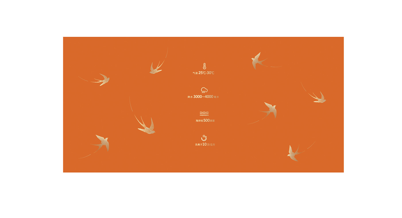 寶瓶堂高端滋補(bǔ)品包裝設(shè)計(jì)開(kāi)發(fā) 寶瓶堂高端滋補(bǔ)品包裝設(shè)計(jì)開(kāi)發(fā)