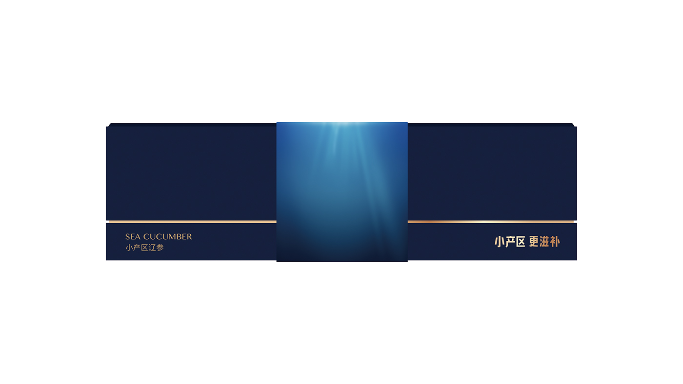 寶瓶堂高端滋補(bǔ)品包裝設(shè)計(jì)開(kāi)發(fā) 寶瓶堂高端滋補(bǔ)品包裝設(shè)計(jì)開(kāi)發(fā)