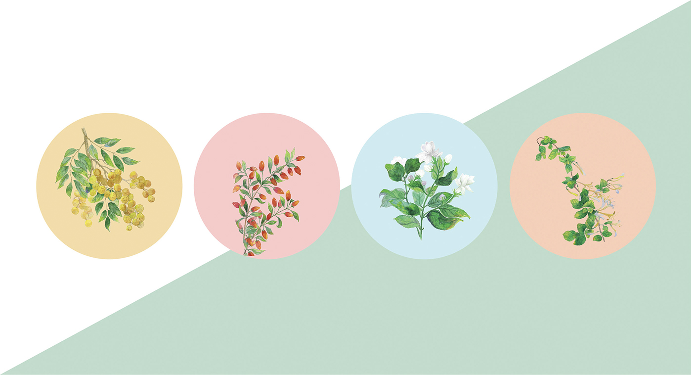 深圳高端滋補(bǔ)品品牌:寶瓶堂花果茶和湯包包裝設(shè)計(jì)開(kāi)發(fā) 深圳高端滋補(bǔ)品品牌:寶瓶堂花果茶和湯包包裝設(shè)計(jì)開(kāi)發(fā)