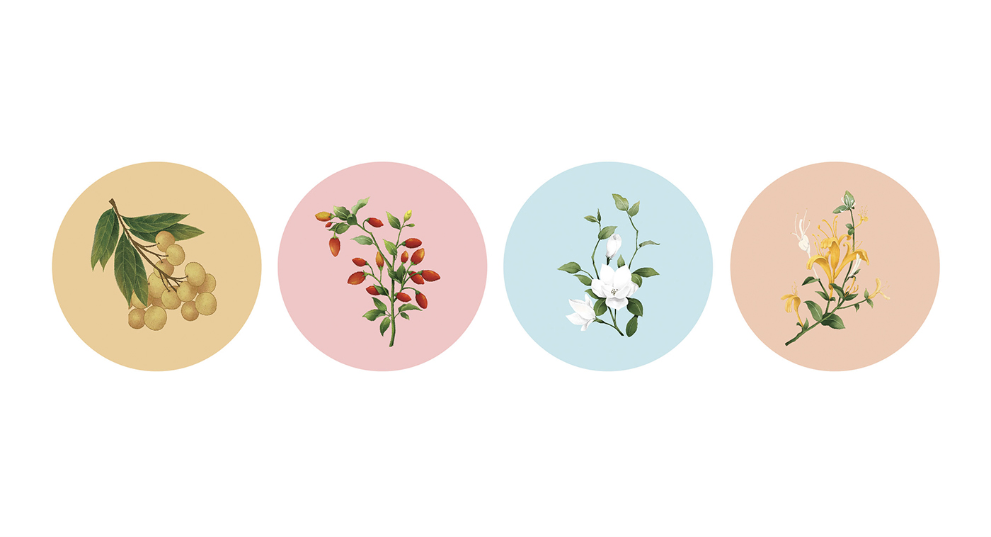 深圳高端滋補(bǔ)品品牌:寶瓶堂花果茶和湯包包裝設(shè)計(jì)開(kāi)發(fā) 深圳高端滋補(bǔ)品品牌:寶瓶堂花果茶和湯包包裝設(shè)計(jì)開(kāi)發(fā)